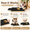 Wooden Dog Nail Scratch Board with Treat Box and Sandpaper Pad