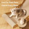 A small gray kitten is resting on a wooden cat scratcher pad, demonstrating care for its paws.