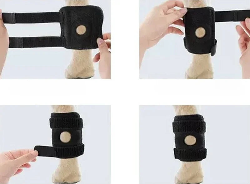 Dog Knee Support Brace for Arthritis and Joint Recovery