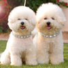 Luxury Rhinestone Dog Collar with Adjustable Chain