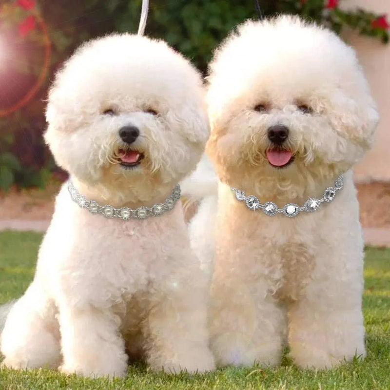 Luxury Rhinestone Dog Collar with Adjustable Chain