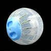 Clear Exercise Ball for Small Pets