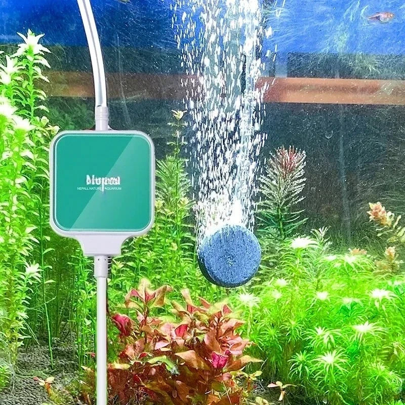 Eine ultra-leise Mini-Aquarium-Luftpumpe sprüht Wasser in einen Glasbehälter mit üppigen grünen Wasserpflanzen.