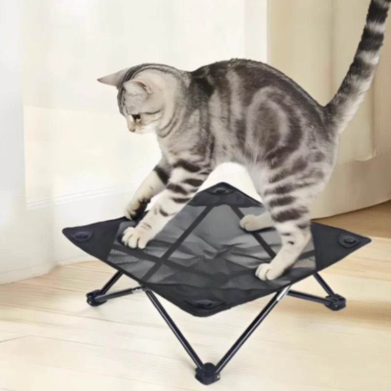 A tabby cat is standing on a black foldable elevated pet cot with a breathable mesh surface.