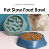 Bol anti-avalage pour chien