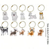 Pet Memorial Hair Keepsake Keychain with Transparent Storage Pendant