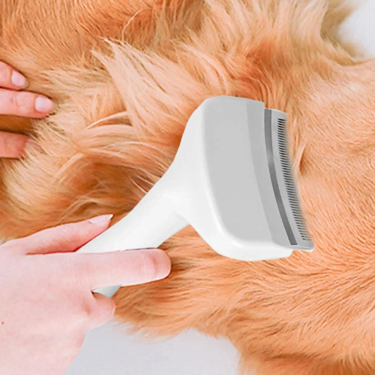 Pet Deshedding Brush with V-Tooth Comb - Gentle Undercoat Rake for Dogs & Cats