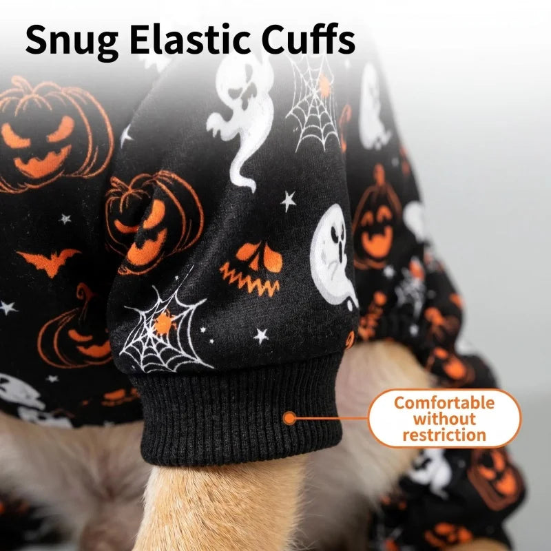 Close-up of a dog wearing black and orange Halloween print snug elastic cuffs on its paw.