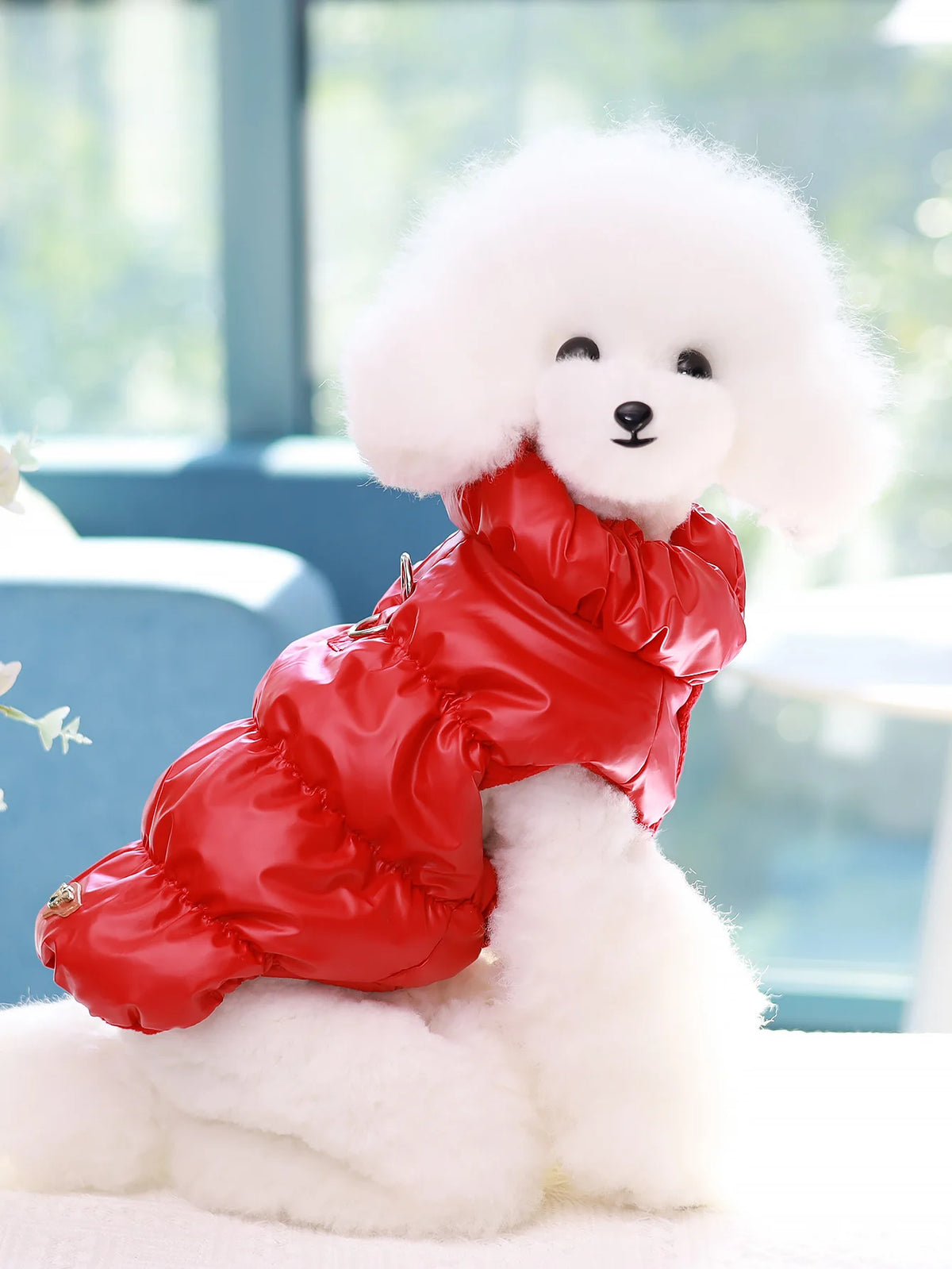 A fluffy white dog jacket with a red, shiny, quilted collar and body is displayed on a white surface.