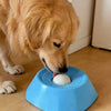 Un perro golden retriever interactuando con un cuenco de alimentación lenta azul en un suelo de madera.