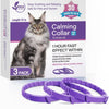 Una caja de collares relajantes para gatos con tres collares morados dispuestos sobre una superficie blanca.