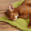 A brown cat is sleeping on a green leaf-print pet cushion on a wooden surface.