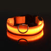 LED-Sicherheits-Hundeleine und Halsband-Set