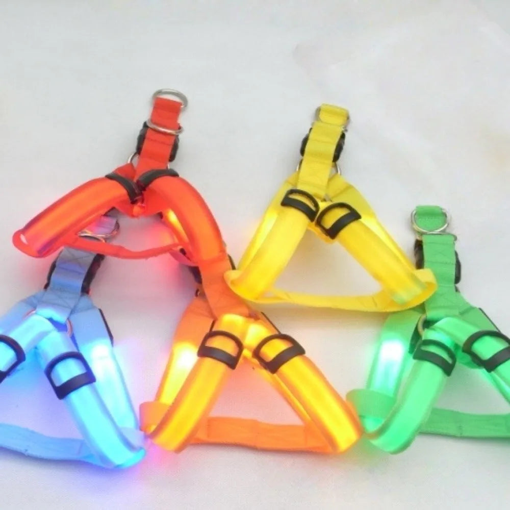 A collection of five rechargeable LED dog harnesses in various colors including orange yellow green and blue