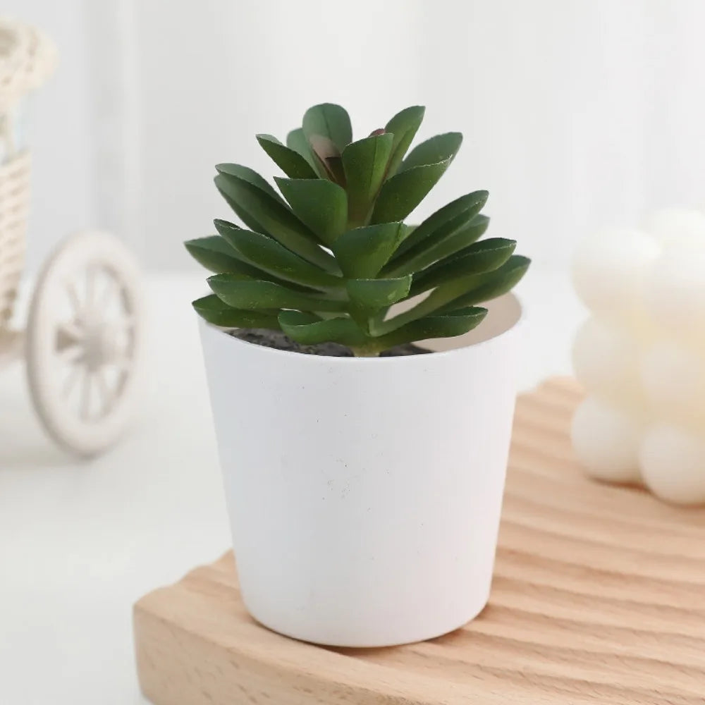 Artificial cactus succulent bonsai in a white decorative pot sitting on a wooden surface