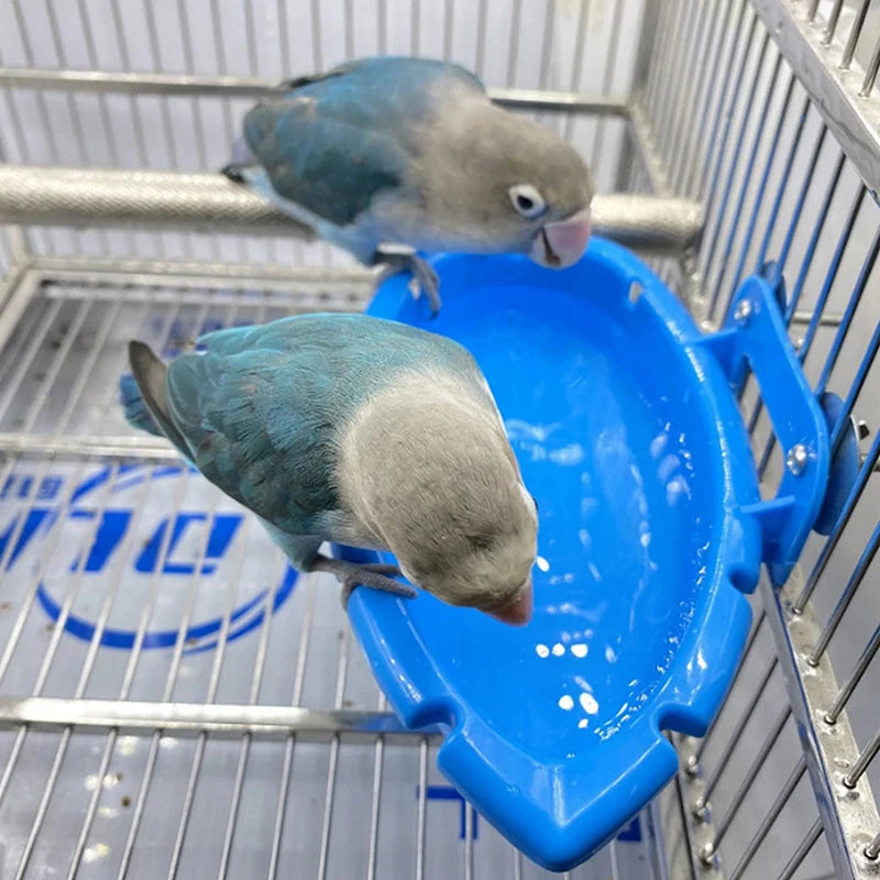A small blue and gray parrot is feeding or bathing in a bright blue plastic tray inside a wire cage.