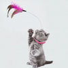Cat Collar Toy with Feather Bells