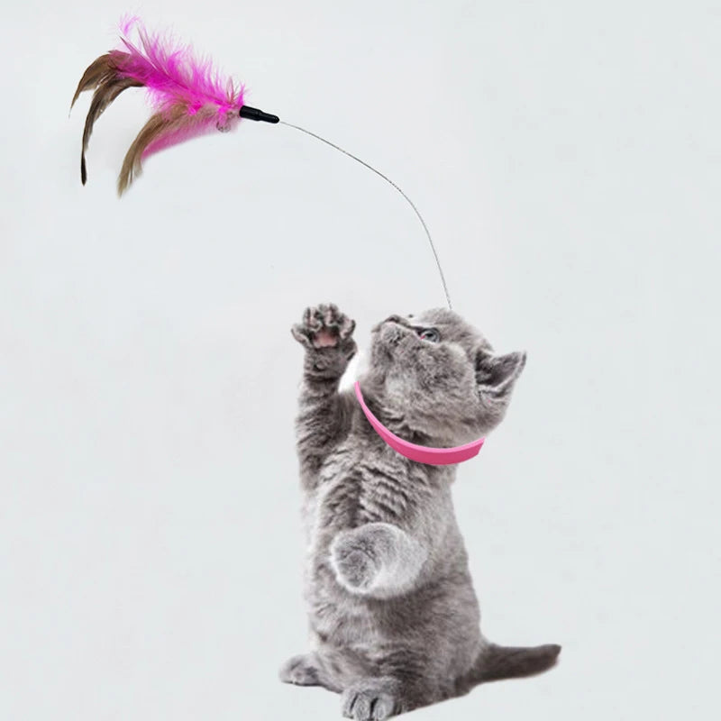 Cat Collar Toy with Feather Bells