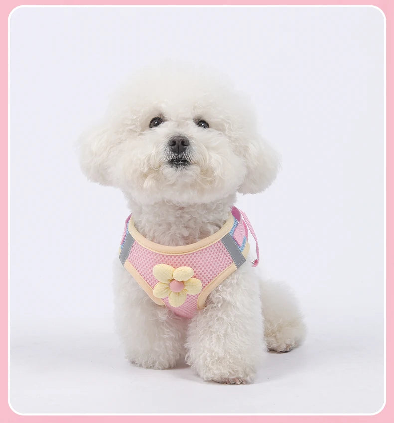 A fluffy white dog wearing a pink mesh harness with yellow floral accents.