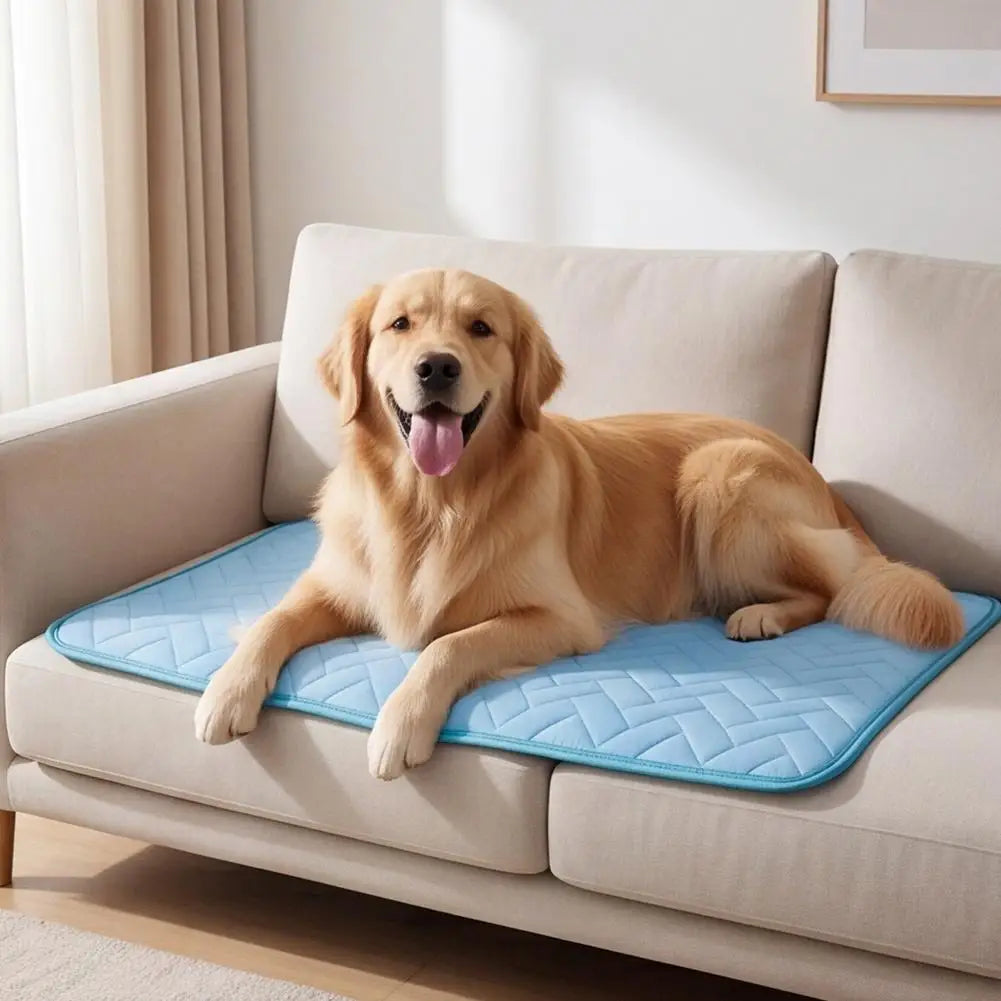 Ein goldener Retriever liegt auf einem blauen gesteppten Kühlseidenbett auf einem hellen Sofa.