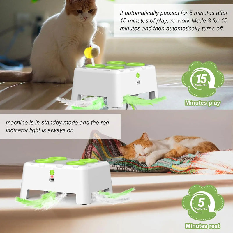 Automatisches Whack-a-Mole Katzenspielzeug mit wiederaufladbarem Akku