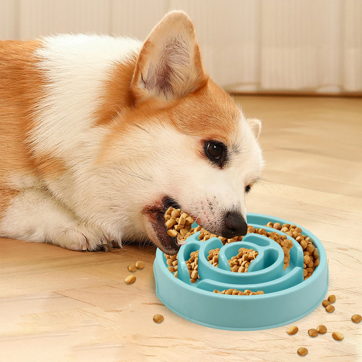 Anti-Gulping Maze Slow Feeder Dog Bowl with Non-Slip Base
