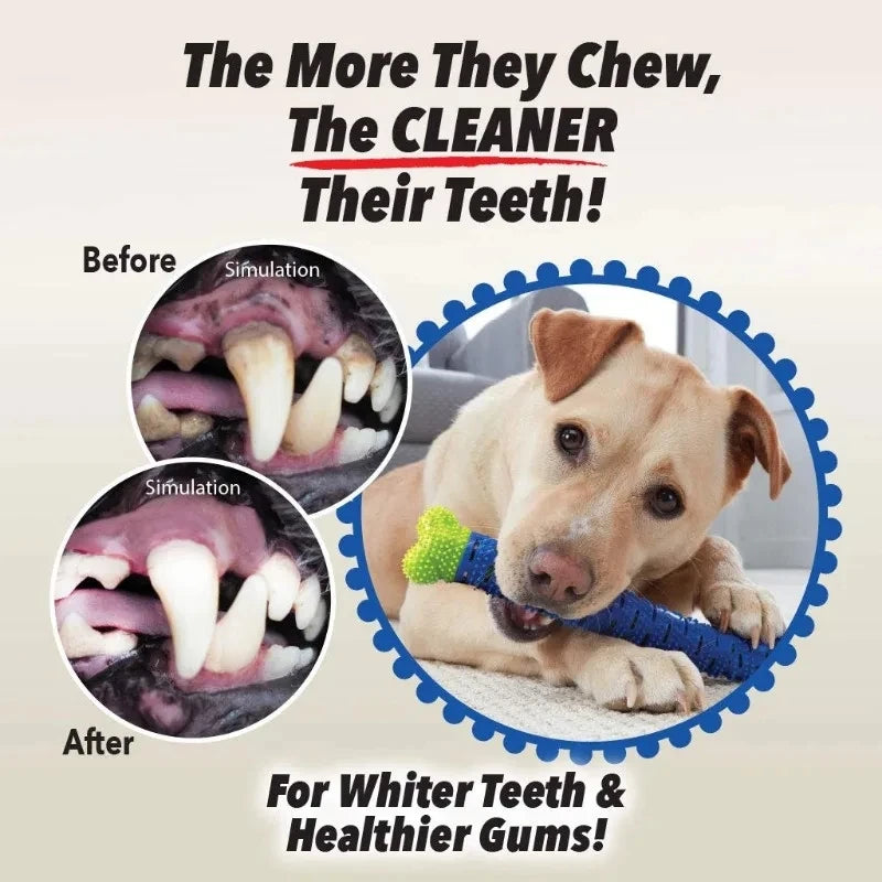 A golden dog is chewing a blue dental chew bone with rubber cleaning bristles for teeth and gums.