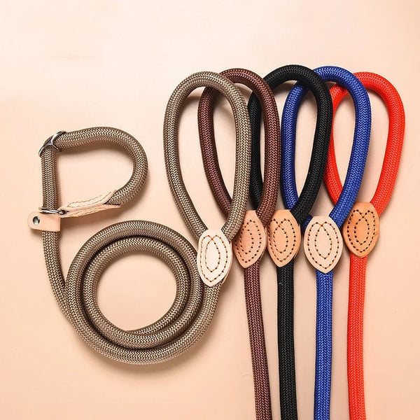 Heavy Duty Nylon Dog Leash Slip Rope with Adjustable Loop