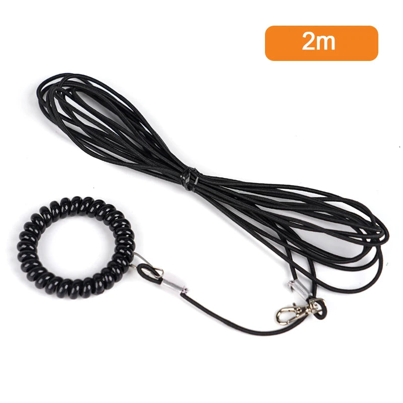 Bird Outdoor Training Harness Rope and Foot Chain