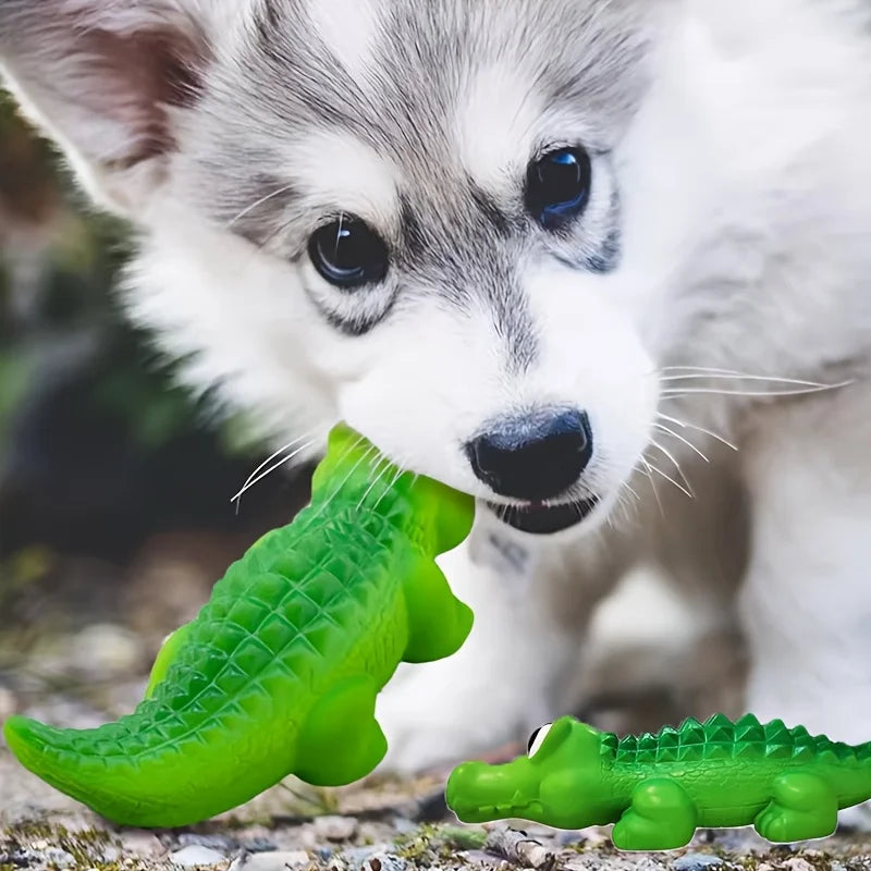 A puppy is looking at a bright green crocodile-shaped latex dog chew toy.