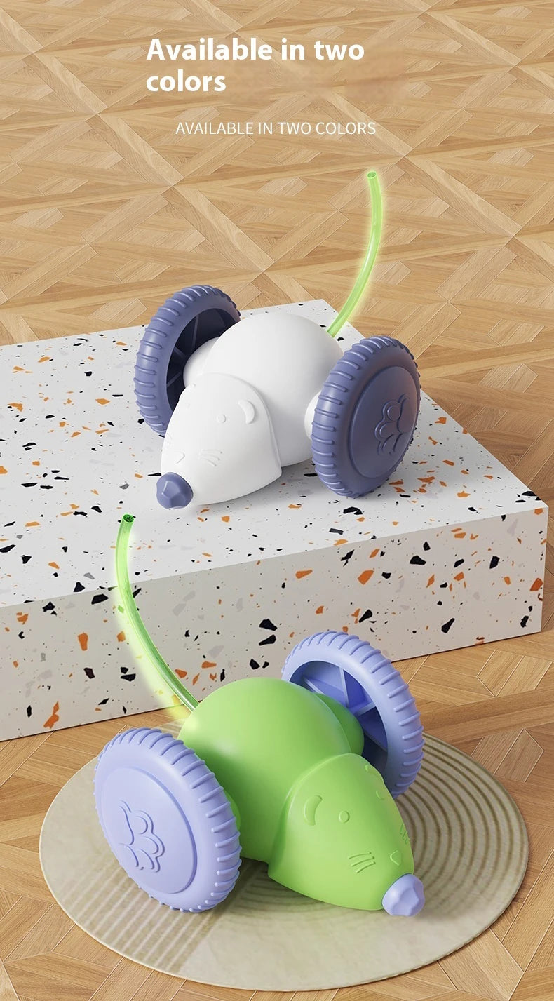 Smarter, Hindernisse vermeidender elektrischer Katzentoys