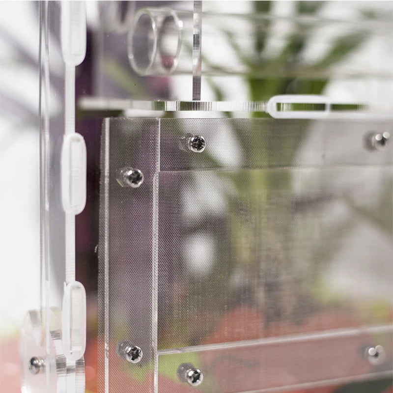 Ant Farm Anti-Escape Dense Net 80 Mesh Stainless Steel