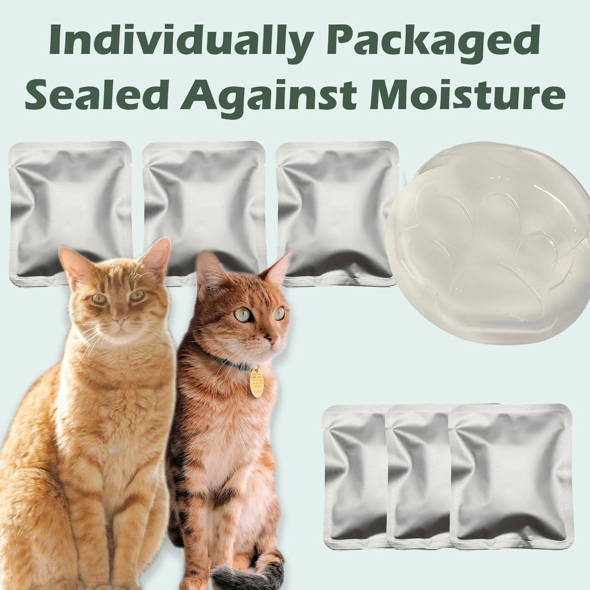 A cat sitting next to individually packaged sealed pads and a white dish for a litter box deodorizer gel product.