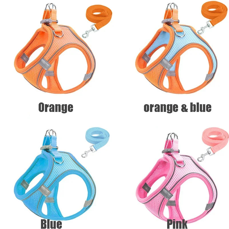 Four dog harnesses in orange, orange and blue, blue, and pink with matching leashes.