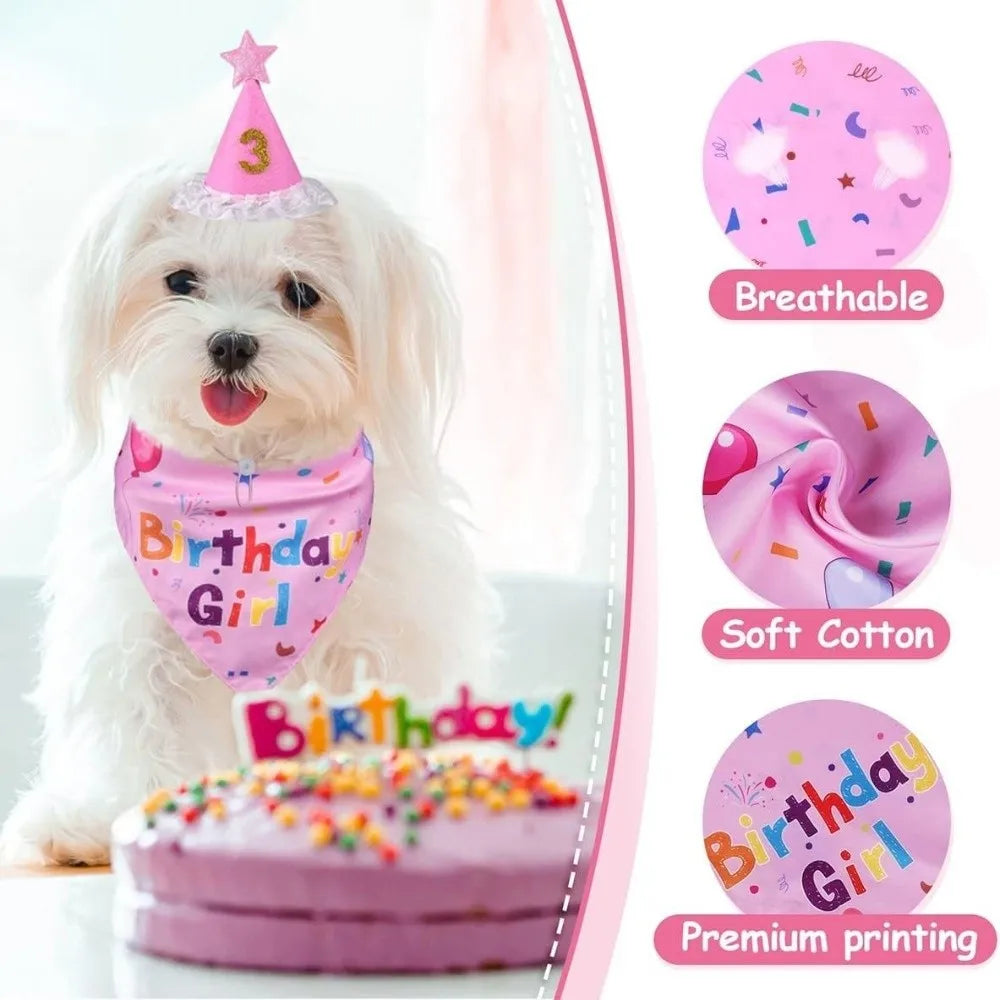 A white dog wearing a pink birthday hat and bowtie set with sequins next to a pink cake.