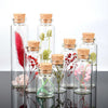 A collection of ten mini glass bottles with cork stoppers filled with various dried flowers and botanicals.
