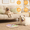 Interactive Dog Puzzle Toy with Non-Slip Base for Mental Stimulation and Slow Feeding