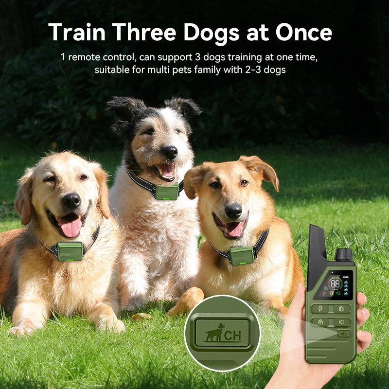 A hand holds a green electric dog training collar with a remote control, with three dogs sitting nearby.