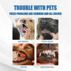Natural Dental Care Foam for Dogs – Tartar Remover & Fresh Breath Solution