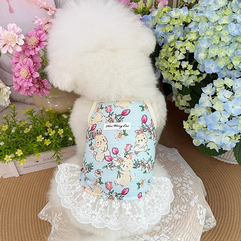 Vestido Floral de Encaje para Mascotas