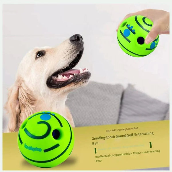 Ein Golden Retriever schaut auf einen leuchtend grünen Soundball, den eine Hand hält.