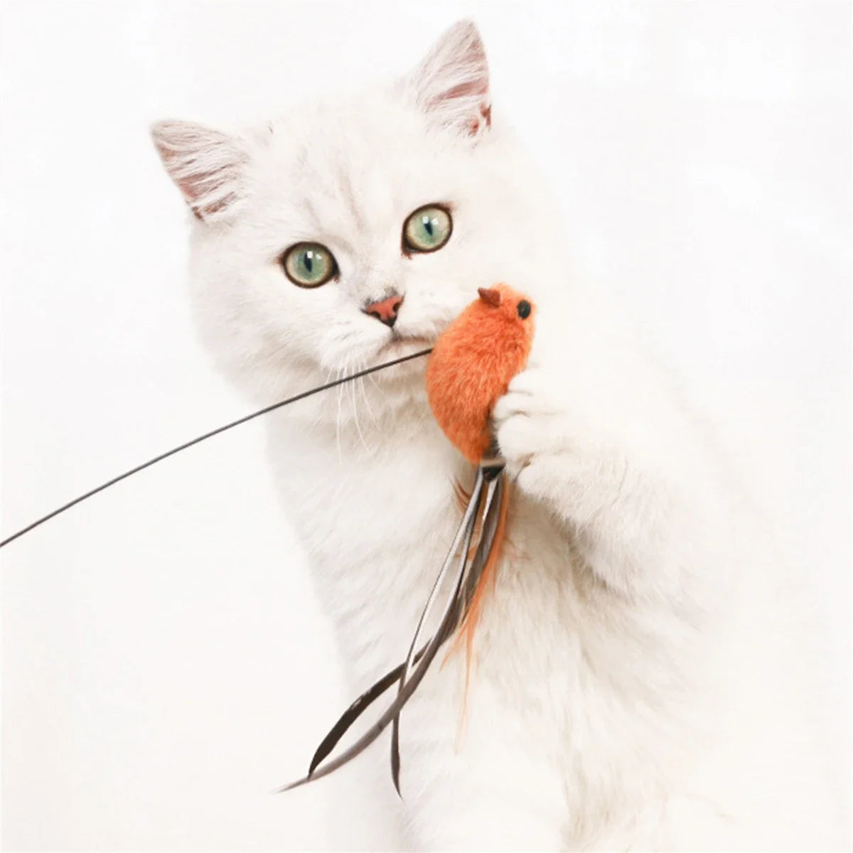 Eine weiße Katze interagiert mit einem orangen Federspielzeug.