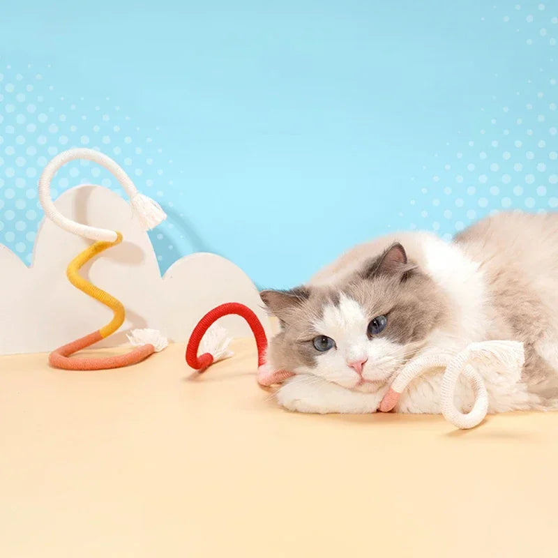 A fluffy gray and white cat is lying down next to a white puzzle toy with colorful rope toys.