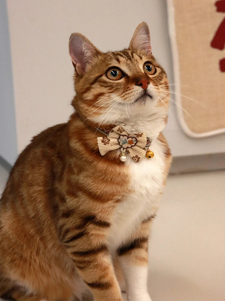 A tabby cat wearing a decorative breakaway collar with a bowknot and small bell.
