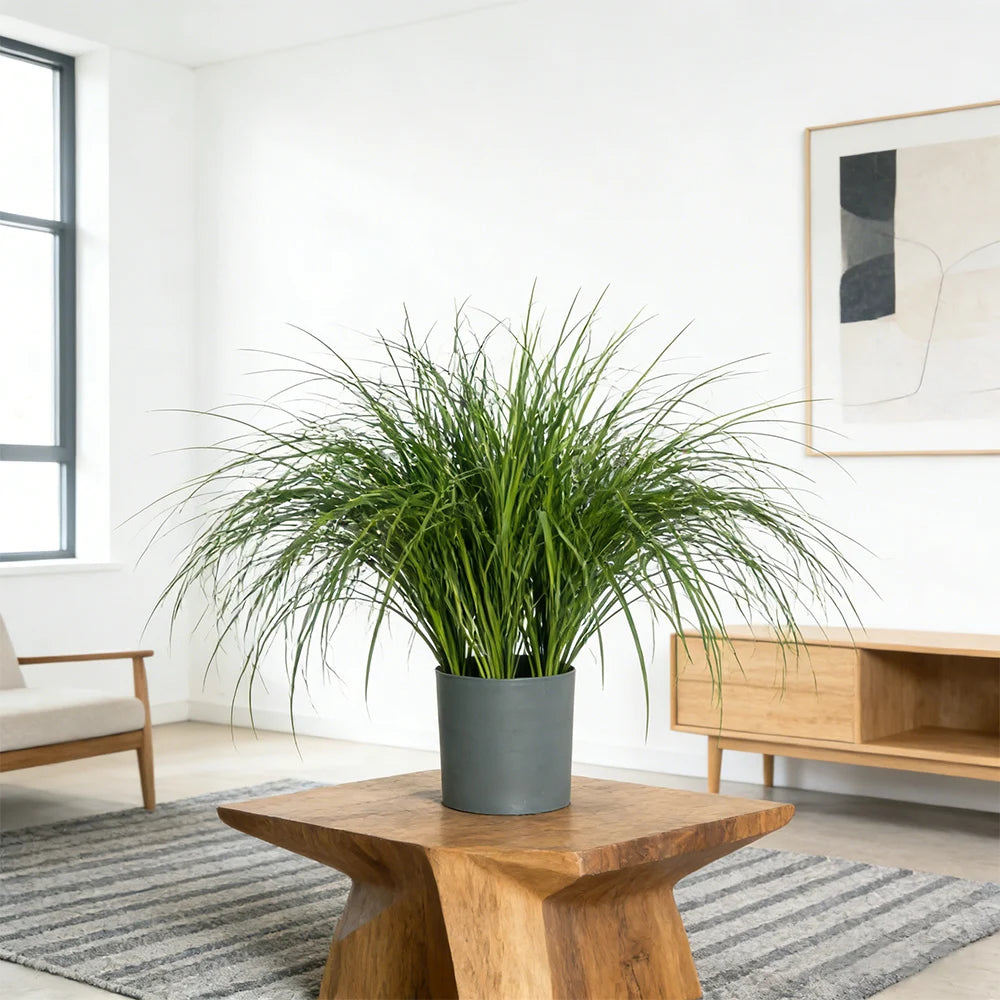 Artificial Reed Grass Bouquet – 50cm Tropical Faux Plant