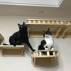 Wall-Mounted Cat Climbing Shelf Set with Hammock and Scratching Posts
