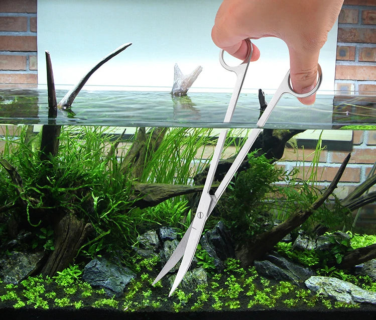 Eine Hand hält ein Set zum Reinigen eines Aquariums aus Edelstahl über einem Glasbehälter mit Wasserpflanzen und Abfällen.