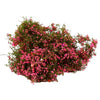 Lifelike Artificial Climbing Vine for Miniature Landscapes