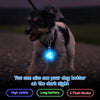 Waterproof LED Dog Collar with Rechargeable Light for Night Walks