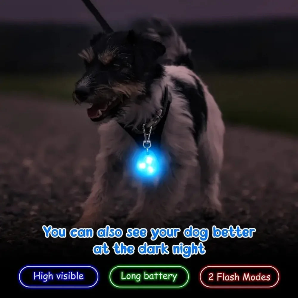 Waterproof LED Dog Collar with Rechargeable Light for Night Walks
